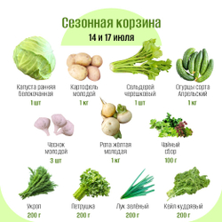 Сезонная корзина