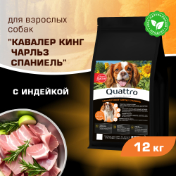 Корм сухой для взрослых собак породы Кавалер кинг Чарльз спаниель, с индейкой, 12 кг, QUATTRO