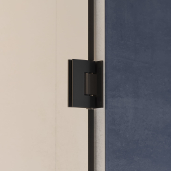 Душевая дверь RGW HO-011B (Прозрачное, 800)