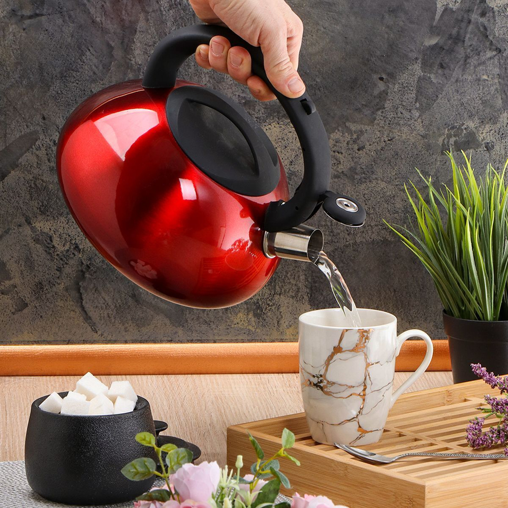 Чайник нерж, 3 л, свист, зеркал, ручк с силик покр, Daniks, индукц, красн, DSC-8798