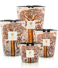 Dualla, свеча MAX 35 Sacred Trees collection, Baobab Collection