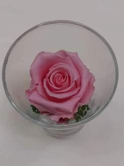 натуральная роза в стекле, вакуум*