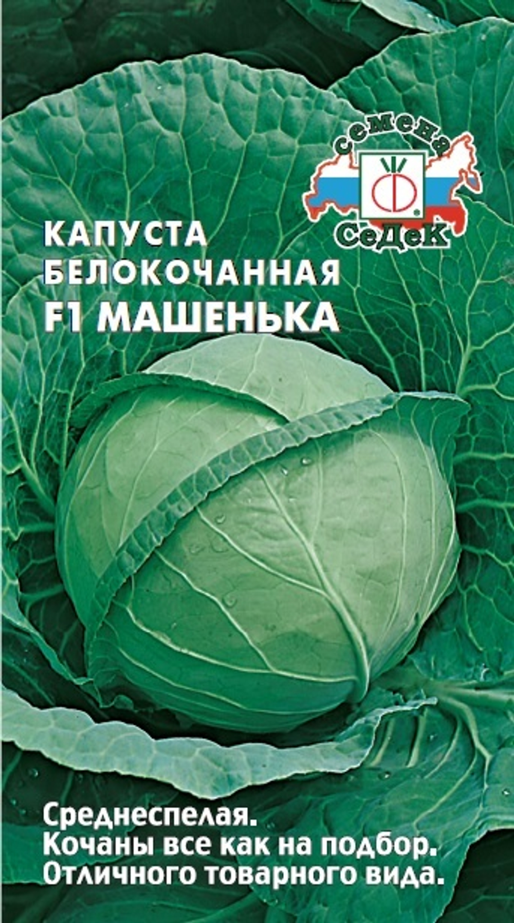 капуста Машенька F1