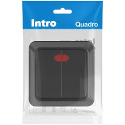 Выключатель Intro Quadro 2-105-05 двойной с подсветкой 10А-250В IP20 ОУ антрацит | Intro