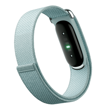Фитнес-браслет Google Fitbit Air («Туман» | Fog)