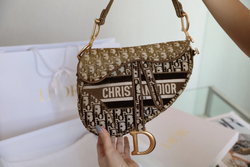 Christian Dior Saddle Bag 25 cm