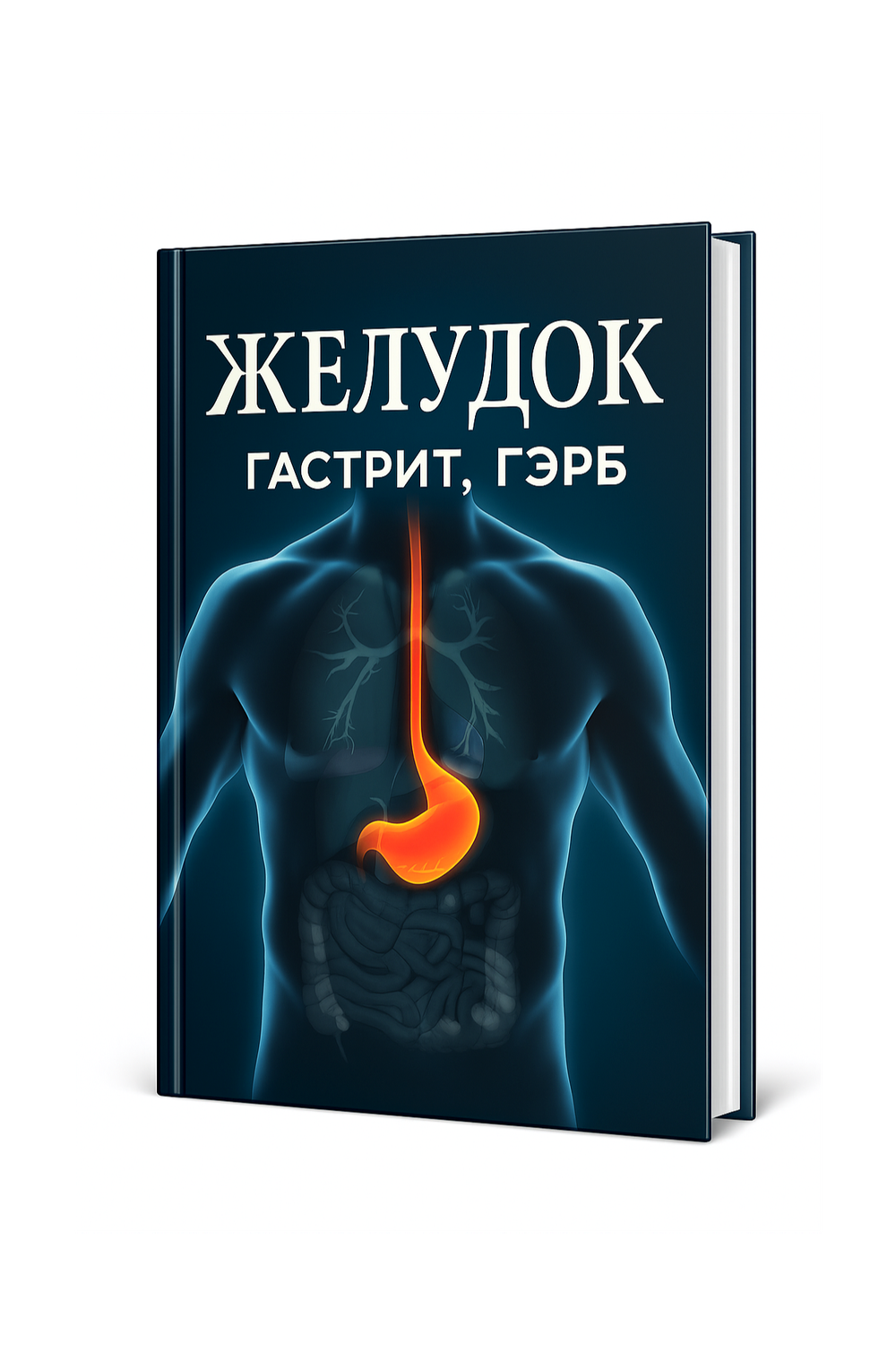 Желудок. Гастрит, ГЭРБ (электронный формат)