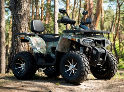 Квадроцикл YAMAHA Shark 300cc