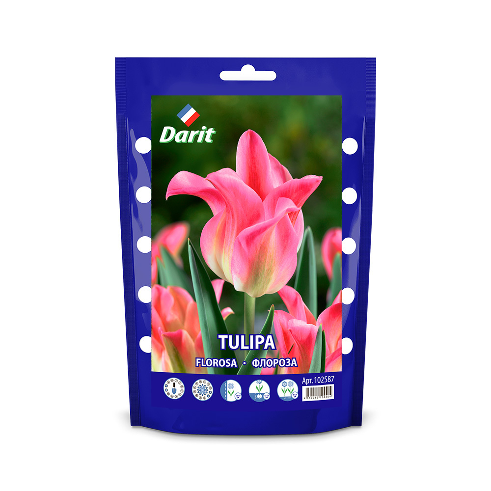 ЛУКОВИЦЫ ТЮЛЬПАН FLOROSA 12/14, DARIT 5 ШТ/УП