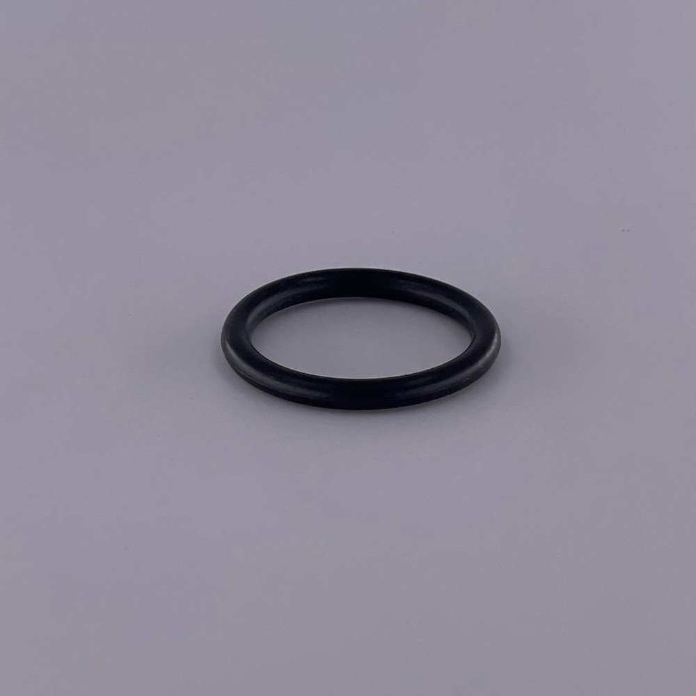 WDK-20840-38 Кольцо