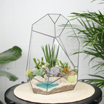 Флорариум с суккулентами Калипсо с озером