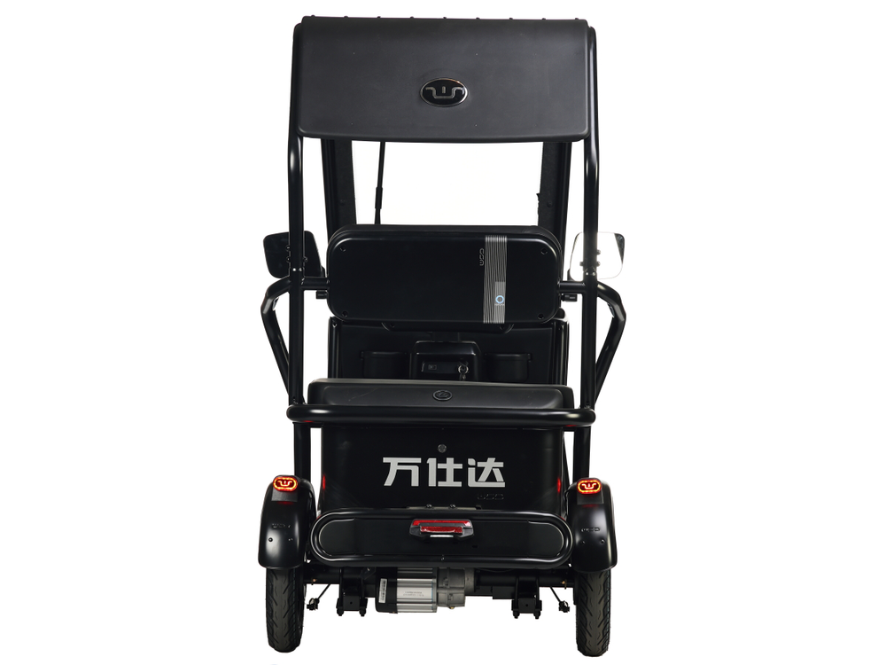 Электротрицикл Wanshida NIPLA 570 (1000Вт, 60B)