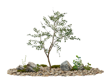 Напольная композиция в стиле минимализм с мирраей 200 см, длина 1,8–2 м