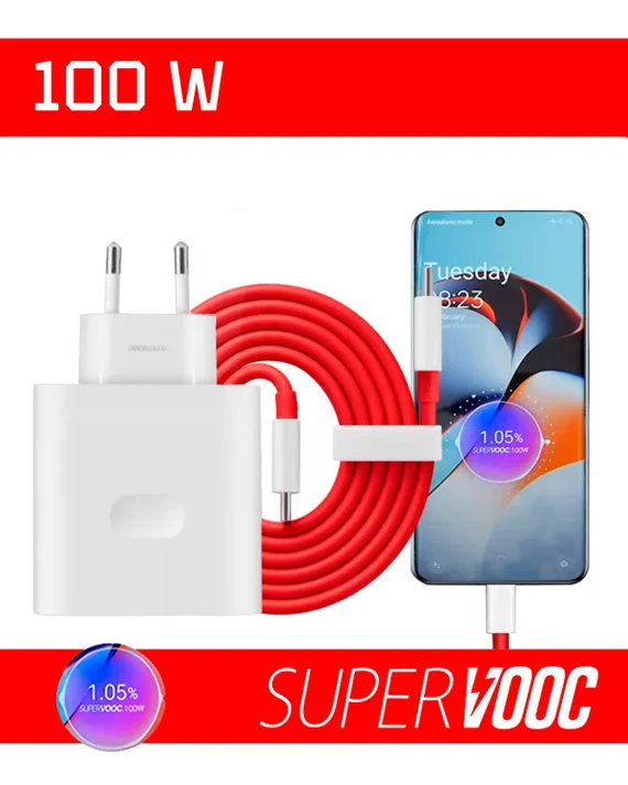 Зарядное устройство USB/Type-C для OnePlus Supervooc 100W EU (Блок питания и кабель)