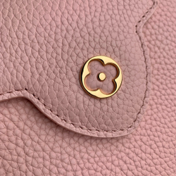 Louis Vuitton Capucines Mini