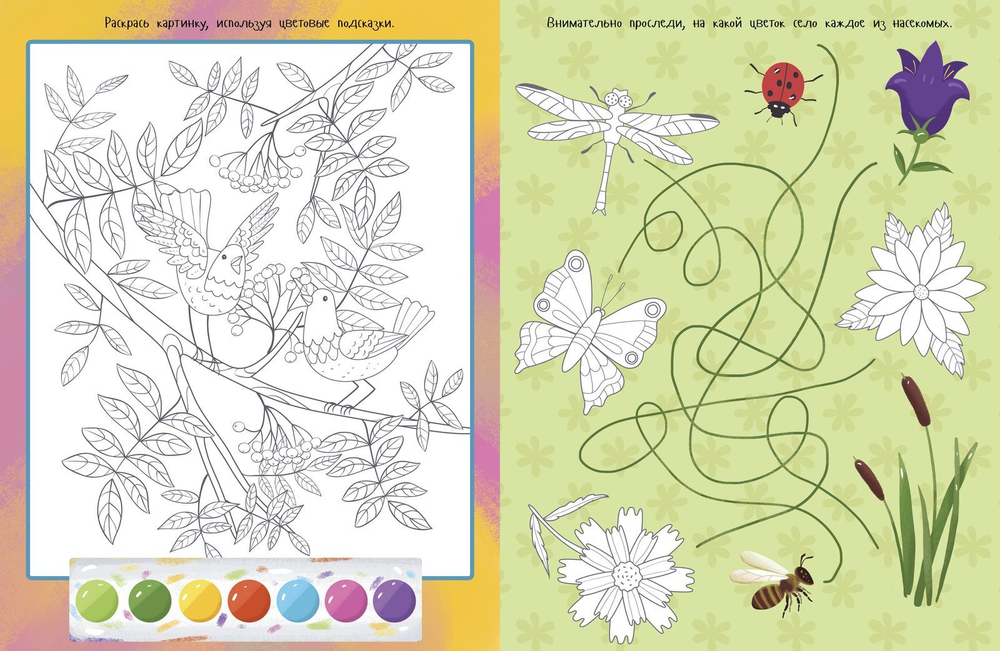 Самая увлекательная раскраска о временах года
