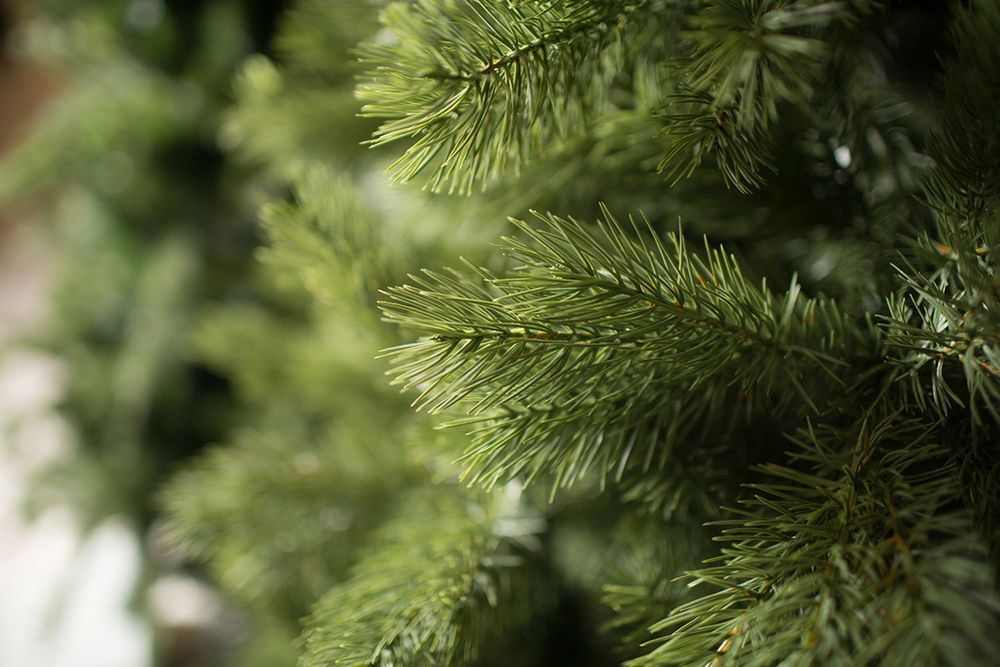 Ель искусственная «Шервуд» (Литая хвоя) 150 см / 1,5 м