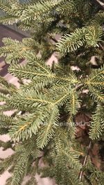 Искусственная ель на ножке «Датская» (хвоя Литая) 210 см / 2.1 м