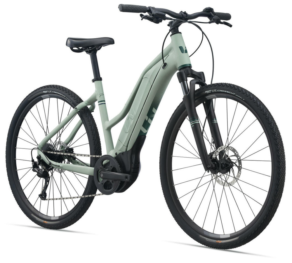 Электровелосипед Giant Rove E+ (2022)