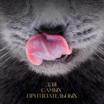 Суп ароматная уха, 70г влажный корм для кошек Sheba