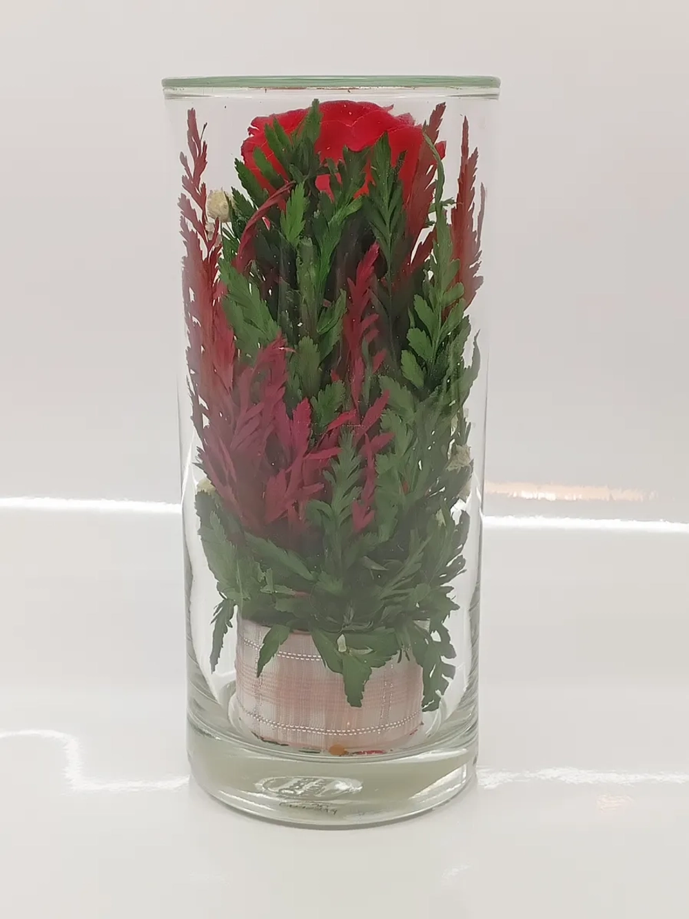 натуральные кустовые розы в стекле, вакуум*