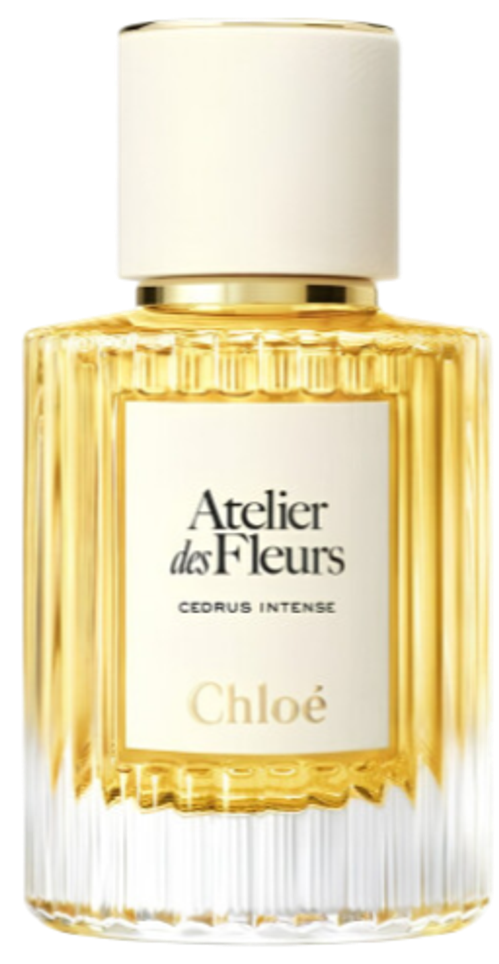 Chloé Cedrus Intense EDP