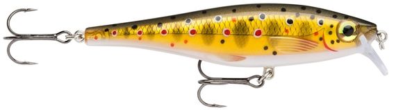 Воблер RAPALA BX Minnow 10 /TR