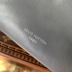 Louis Vuitton CarryAll Cargo PM