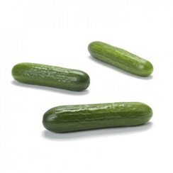 Скайвелл F1 семена огурца партенокарпического (Rijk Zwaan / Райк Цваан)