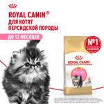 Royal Canin Persian Kitten Персиан Киттен Корм сухой для котят персидской породы до 12 месяцев 10кг