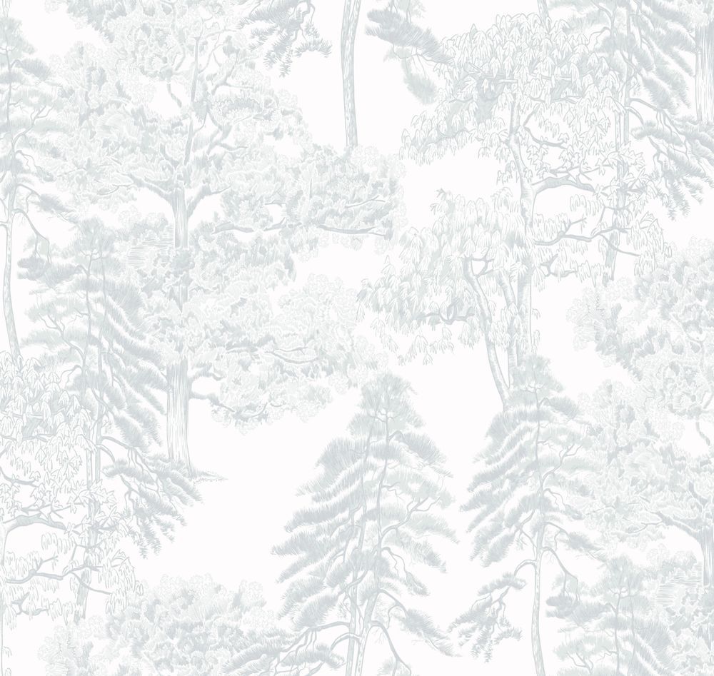 Ambient vol4 Лесной этюд