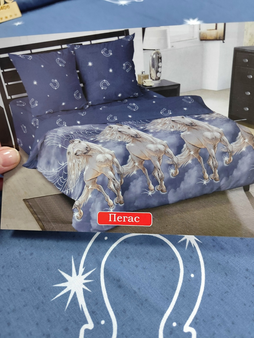 Поплин / Пегас компаньон