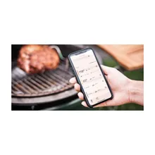 Wi-Fi-термометр и контроллер температуры в гриле EGG Genius, Big Green Egg
