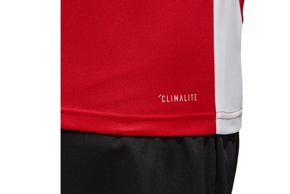 Футболка adidas Entrada 18