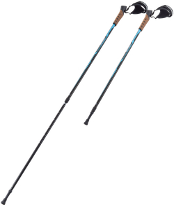 Палки для скандинавской ходьбы BERGER Nimbus, 77-135 см, 2-секционные, черный/голубой
