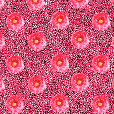 Астры розовые