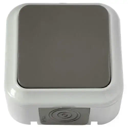 Выключатель 1-клавишный, накладной "ПРАЛЕСКА АКВА", серый