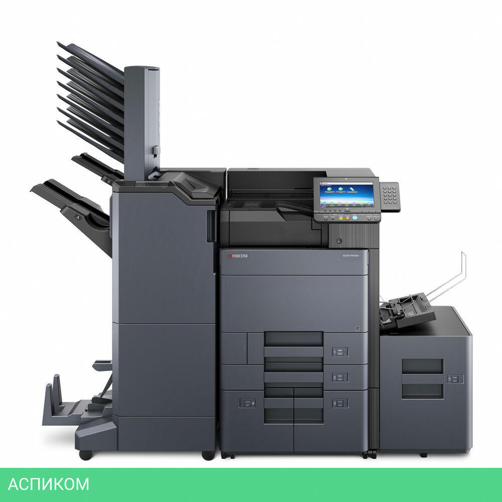 Принтер Kyocera P4060dn (1102RS3NL0)