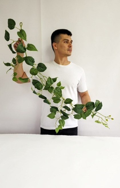 Лиана (плющ) / Арт 4245