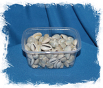 Каури золотое кольцо