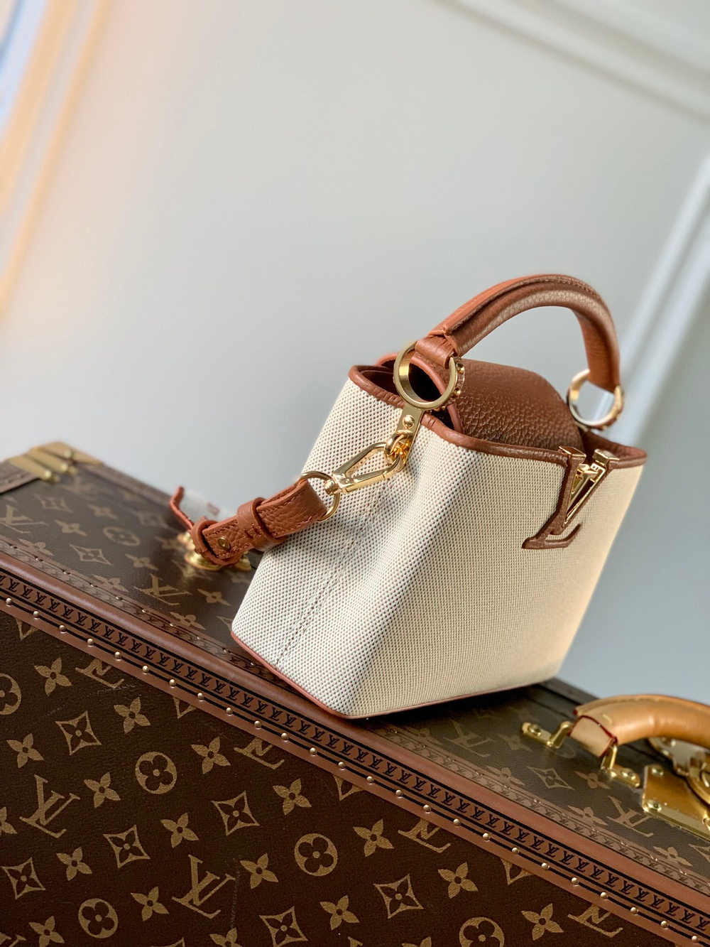 Louis Vuitton Capucines Mini