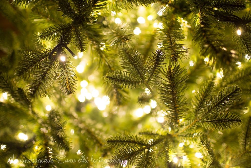 "БАРОККО ПРЕМИУМ" Световая 7