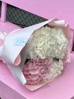 Букет из гортензий в белом и розовом оттенках