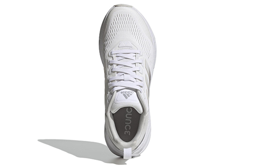 Кроссовки Adidas Questar