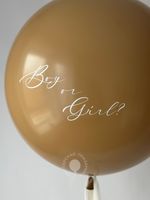 Воздушные шары на определение пола №8800