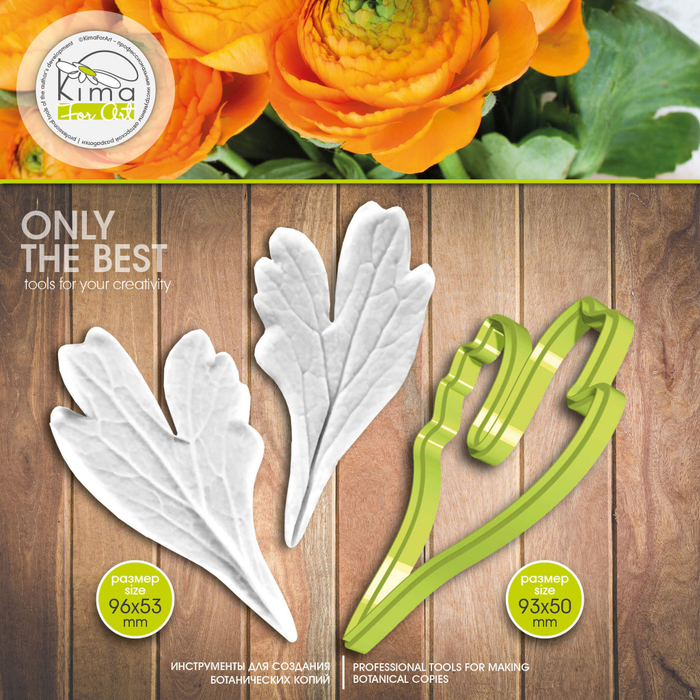 Ранункулюс лист большой