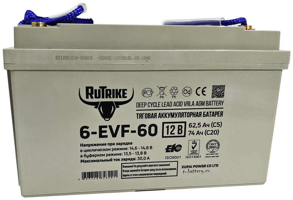 Тяговая аккумуляторная батарея RuTrike 6-EVF-60 (12V60A/H C3)