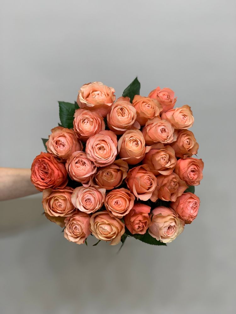Букет 25 пионовидных одноголовых роз в ленте