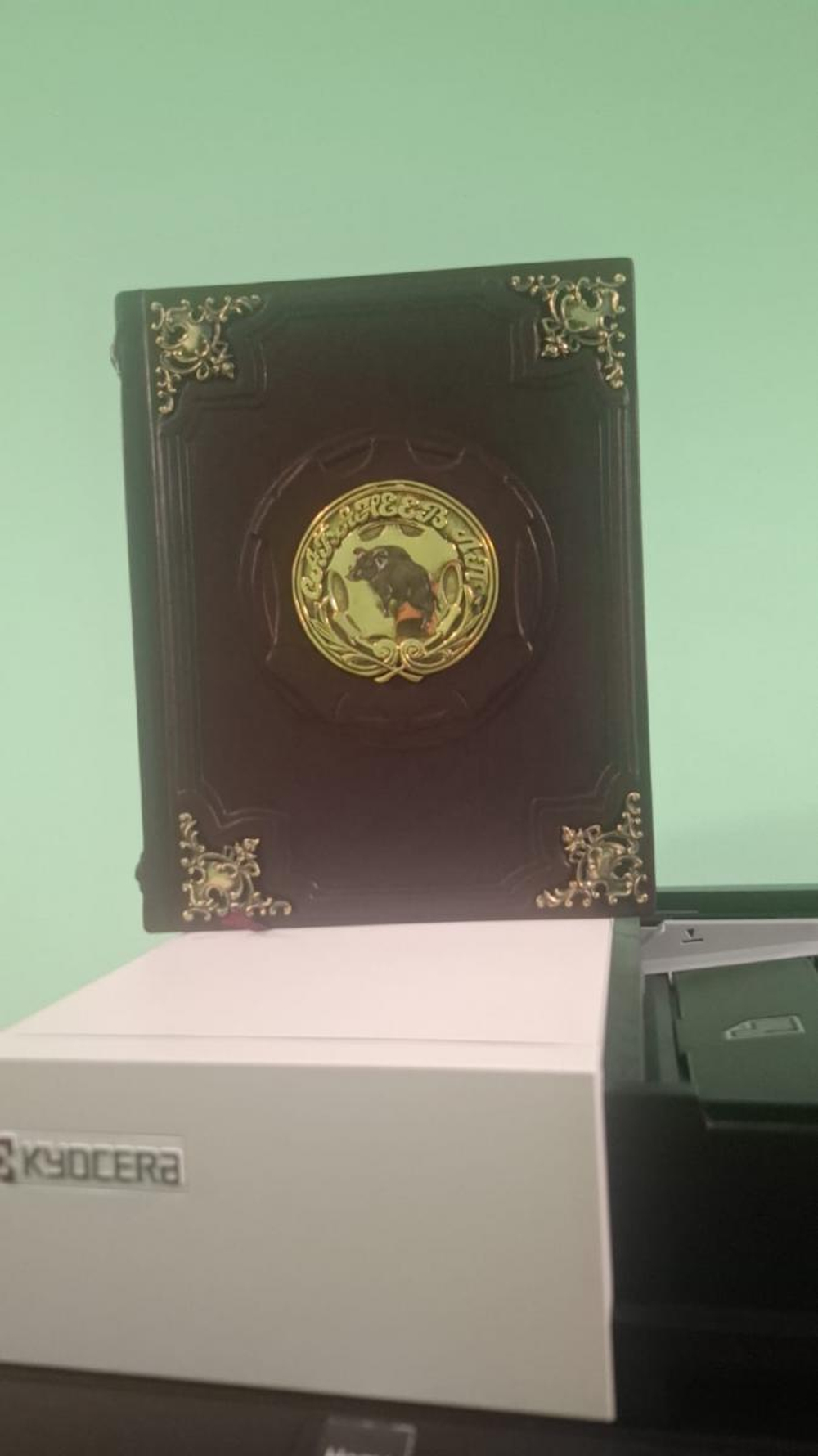 Сабанеев Л.П. "Книга охотника" Книга подарочная в кожаном переплете с бронзовыми накладками