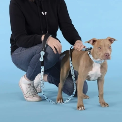 United pets complete me writing ошейник для собак, s 26-40/1,6 см, голубой с рисунком